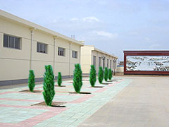 09.jpg